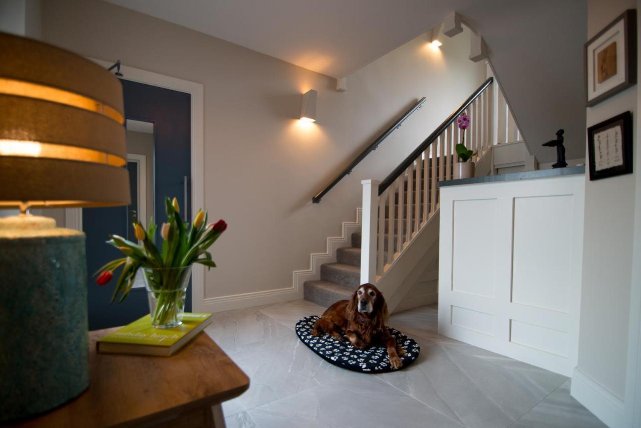 Sheedy'S Doolin Bed and Breakfast Eksteriør billede